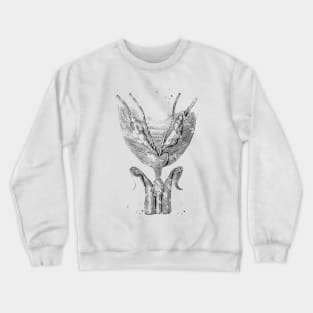 Bladder and urethra Crewneck Sweatshirt